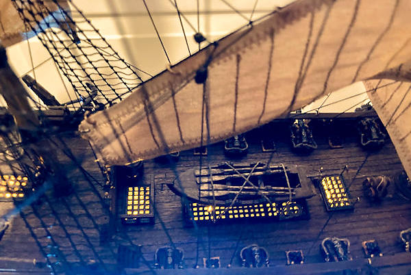 Image of Black Pearl