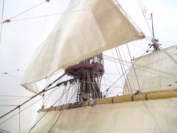 Image of Soleil Royal