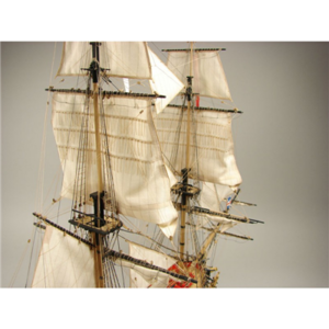 SY (3).png