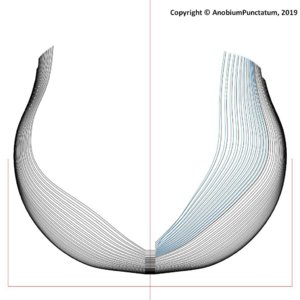 triton-013.jpg