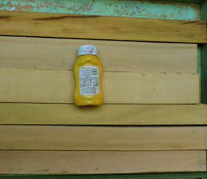 yellow wood.jpg
