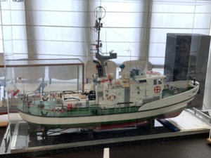 IMG_1854.JPEG