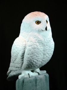 owl 4.jpg