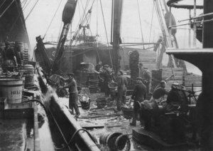 unloading-catch-from-trawlers.jpg