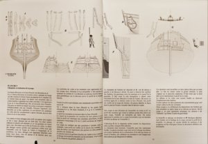 IMG_45091.jpg IMG_45091.jpg