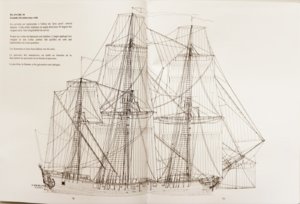 IMG_45161.jpg IMG_45161.jpg