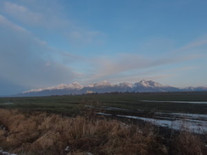 20191217_073537.jpg