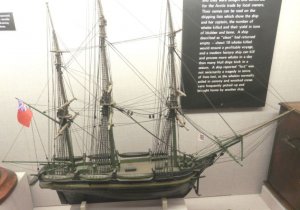 PB210110.JPG
