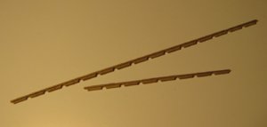 6526.JPG