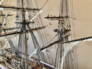 IMG_5822.jpeg