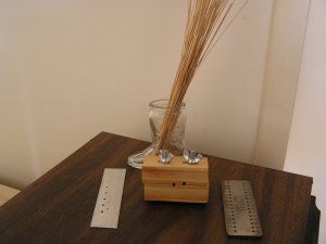 P1010017a.jpg