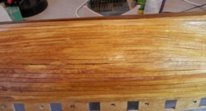 First Planking 4.JPG