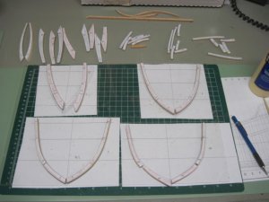 IMG_2655.jpg