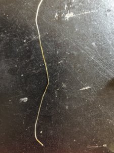 IMG_1232.JPEG