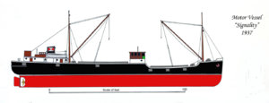 Signality profile.jpg