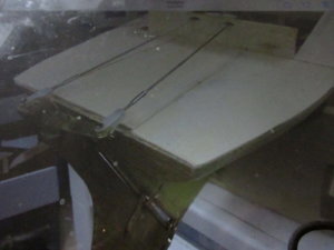 IMG_9848.JPG