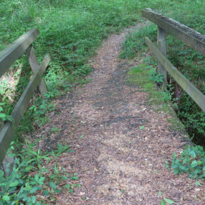 test01.jpg