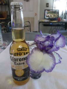 Corona Iris.jpg