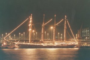 esmeralda -at night - Copy.jpg