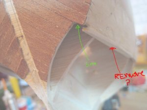 removing  support will leave gap between deck and 1st plank.jpg
