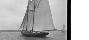 bluenose001b.png