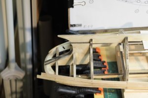 IMG_3323.jpg