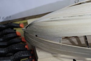 IMG_3340.jpg