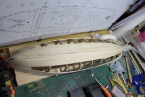 IMG_3342.jpg