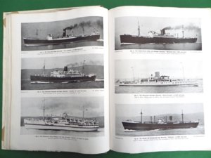 Ships (Large).JPG