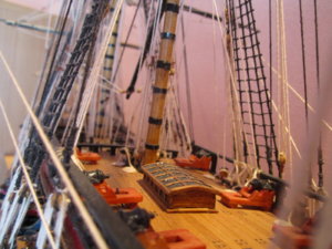 IMG_0770.JPG