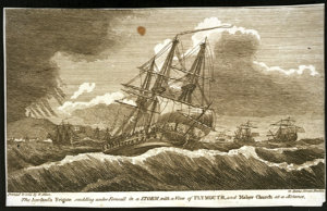 pu7591.jpg