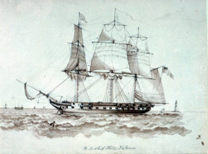 pu8508.jpg