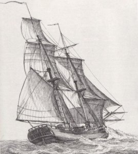 snauwschip.jpg