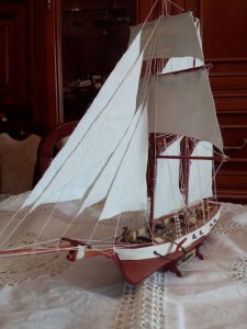 IMG_20200430_150534.jpg
