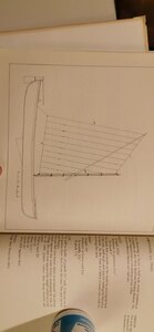 IMG-20200430-WA0053.jpeg