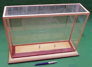 Display case (Large).JPG