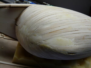 P1060055.JPG