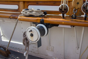 IMG_2221.jpg