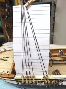 Fig 36 rat guide 2.jpg Fig 36 rat guide 2.jpg