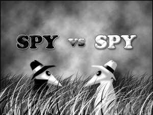 spy vs spy.jpg