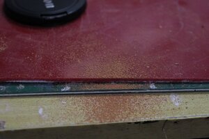IMG_3552.jpg