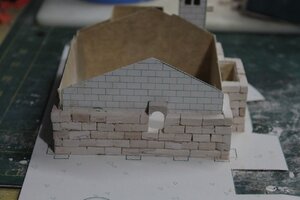 IMG_3544.jpg