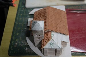 IMG_3556.jpg