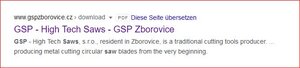 GSP Sägeblatt 1.JPG