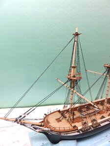 fig 46 IMG_1617.jpg fig 46 IMG_1617.jpg