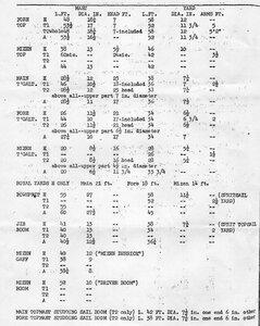 img125.jpg