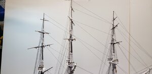 20200727_164857.jpg