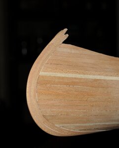 _DSC1001 aa.jpg