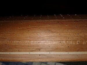 20200803_164213 aa.jpg