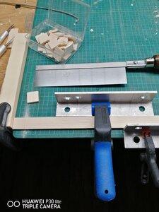 IMG_20200809_174323.jpg
